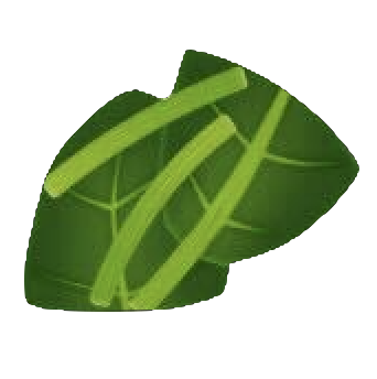 ほうれん草(カット)のアイコン