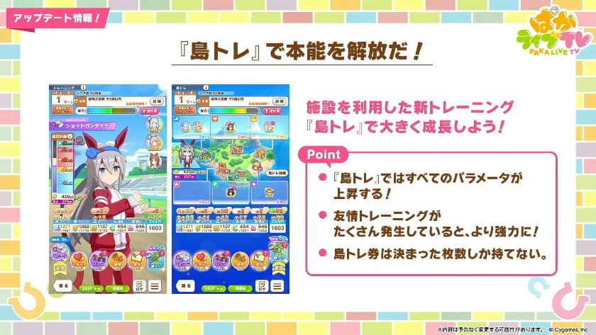 島トレ