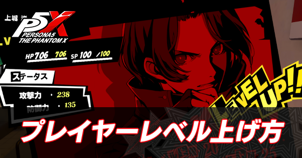 主人公レベル上げ