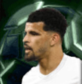 HPドミニクソランケ(06/26)画像