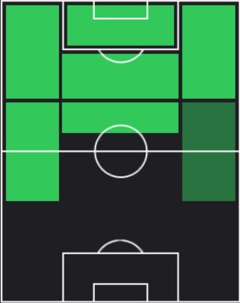 ST渡邉新太(06/26)の適性ポジション