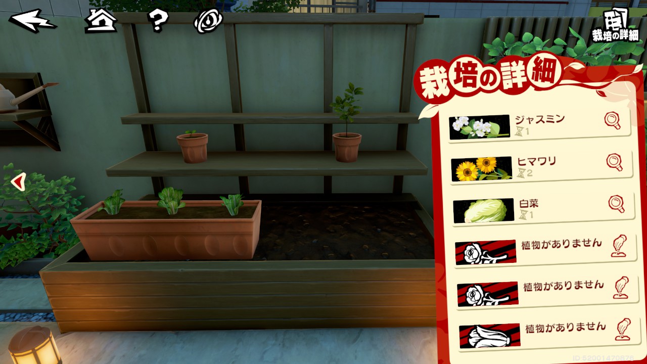 家庭菜園の栽培