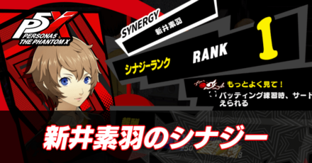 新井素羽のシナジー