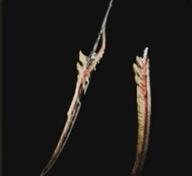 叛刃アルナジト