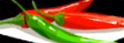トウガラシ