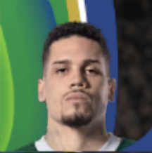 パウリーニョ画像