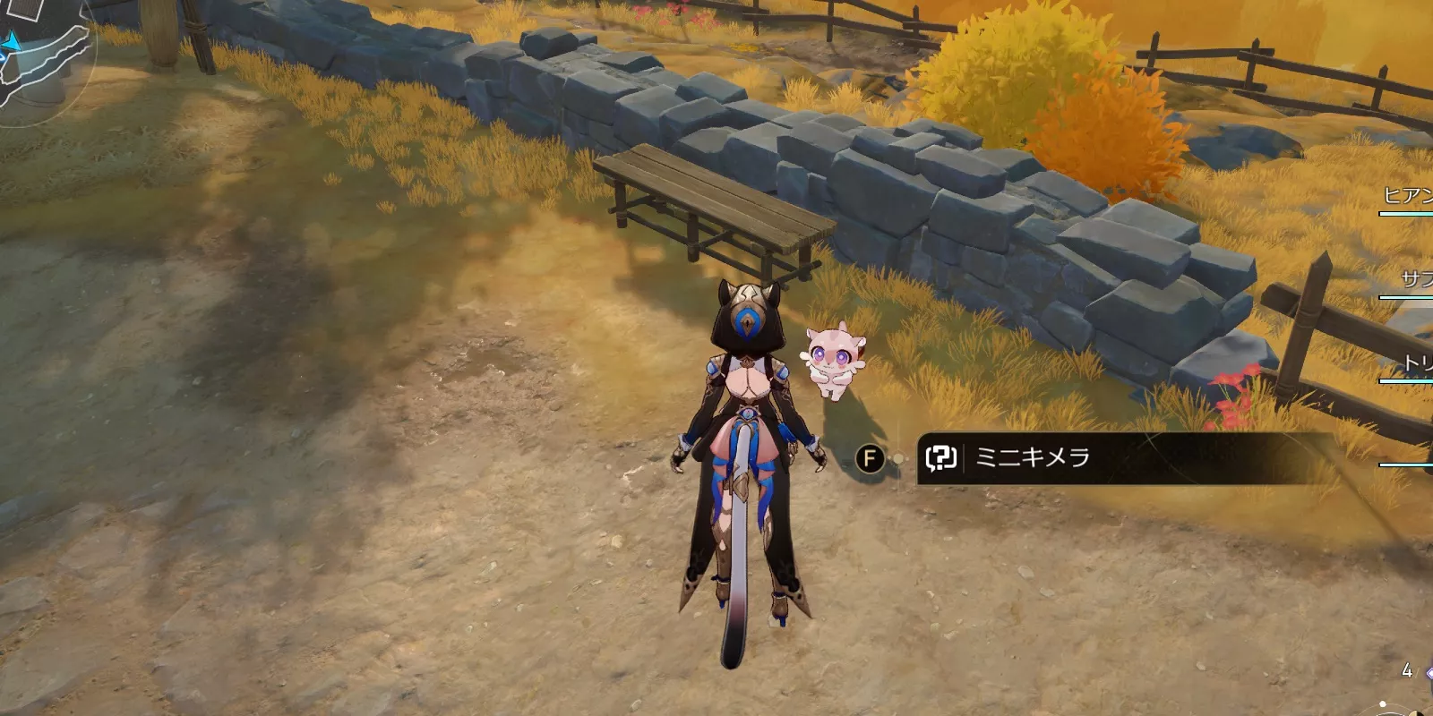 買うのではなく連れてこよう