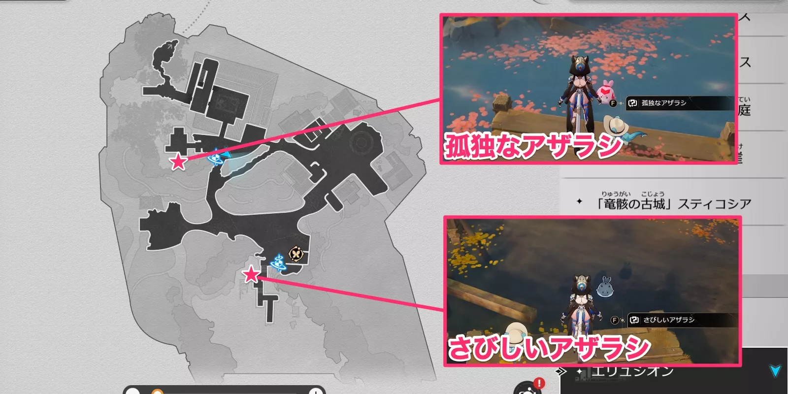 アザラシの場所