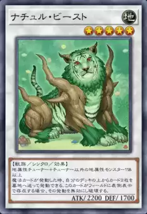 協調する森の仲間たち