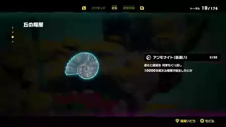 アンモナイト色違い