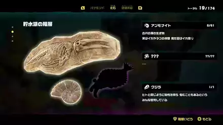 アンモナイト・クジラ