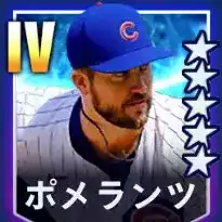 ポメランツ画像