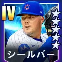 シールバー画像