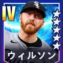 ウィルソン画像