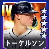 トーケルソン画像