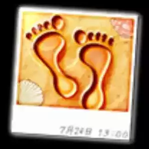 うさバラッシーの足跡？