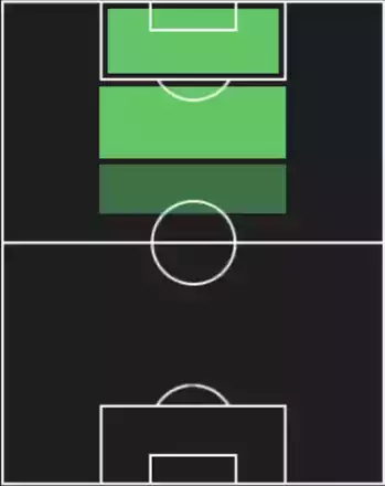 EPペレ(ブラジル/1970)の適性ポジション