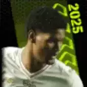 TPルーカスフェヘイラ(07/10)画像