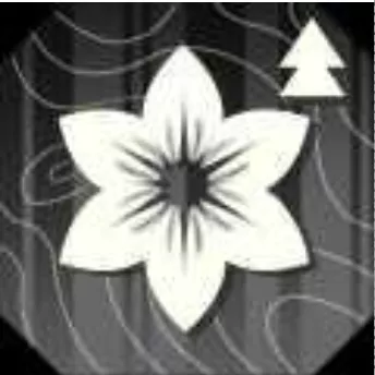 混沌躯体の画像