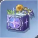 抽選宝箱・好感度アイテム