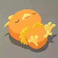 アチャモの星3寝顔画像