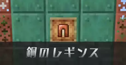 銅のレギンスIC