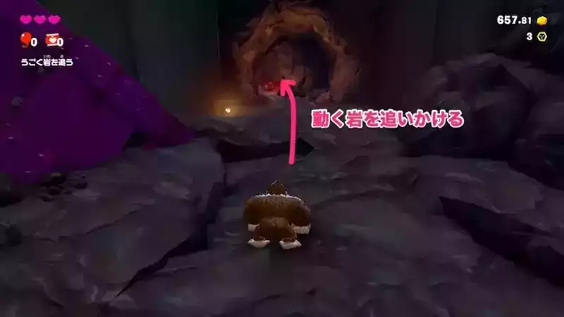 動く岩を追いかける