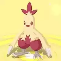 ワカシャモのアイコン