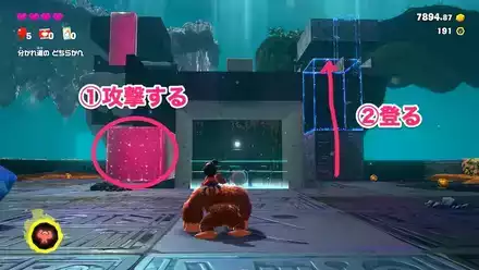 イレカエ石を登る