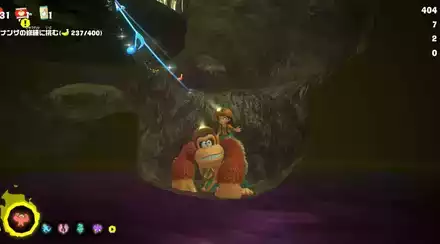 穴掘り探索中ドンキー