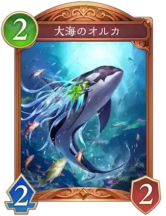 大海のオルカ画像