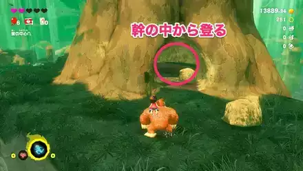 バナモンド入手