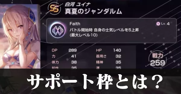 サポート枠とは？仕様と解説