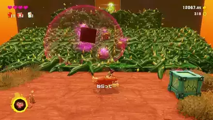 トゲは爆弾で破壊