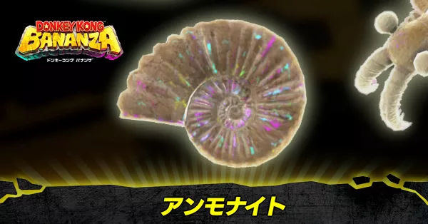 アンモナイトのアイキャッチ画像