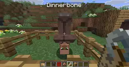 Dinnerbone