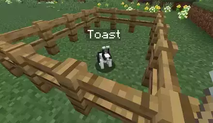 Toast