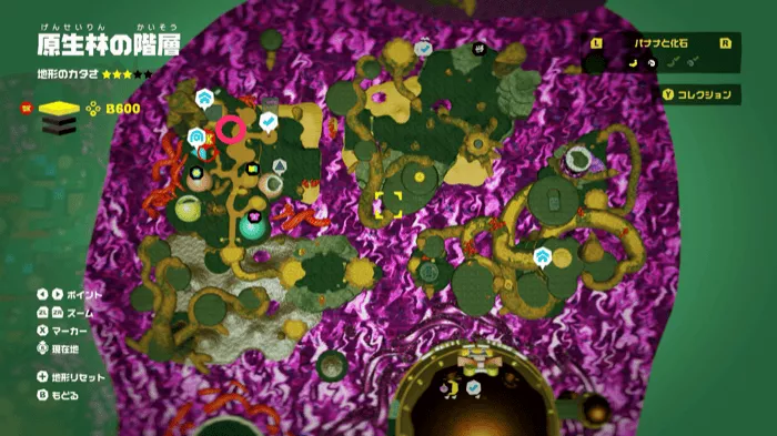 原生林の階層のホメルヤの民の場所