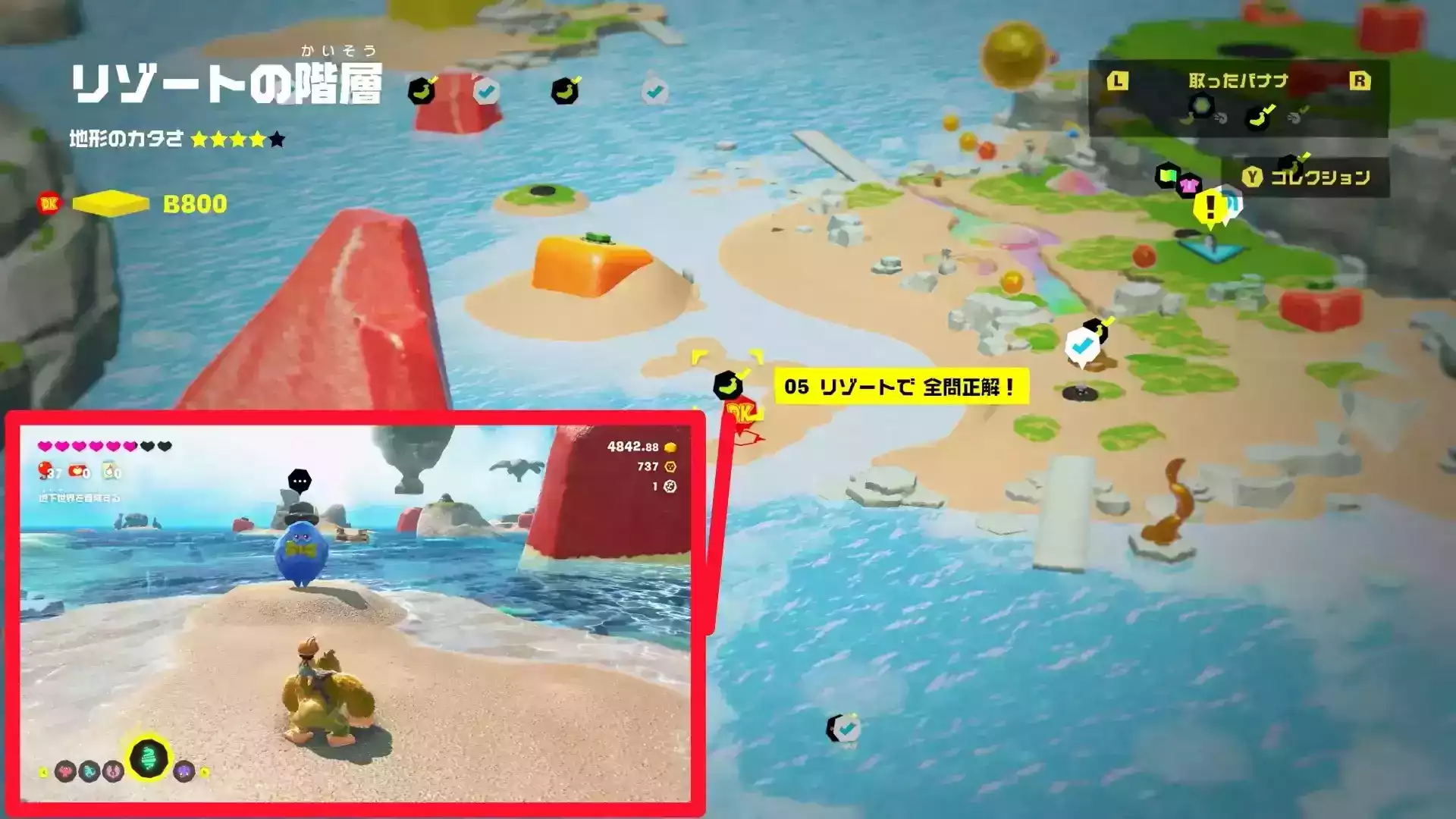 クイズリゾート