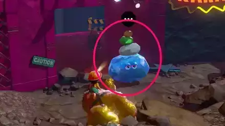 頭の上の石が目印