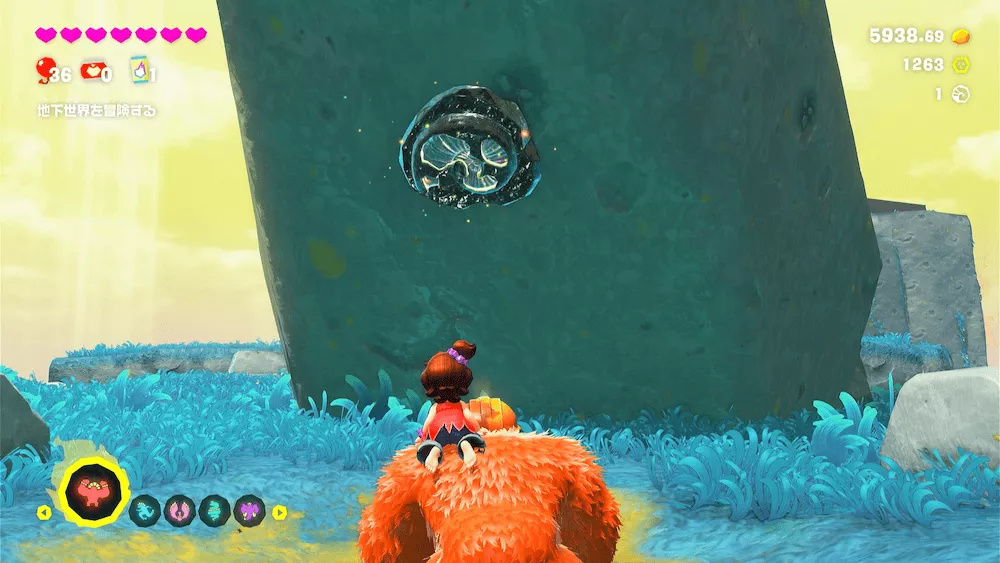 アンモナイト(色違い)