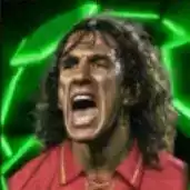 EPカルレス・プジョル(スペイン/2008)の画像