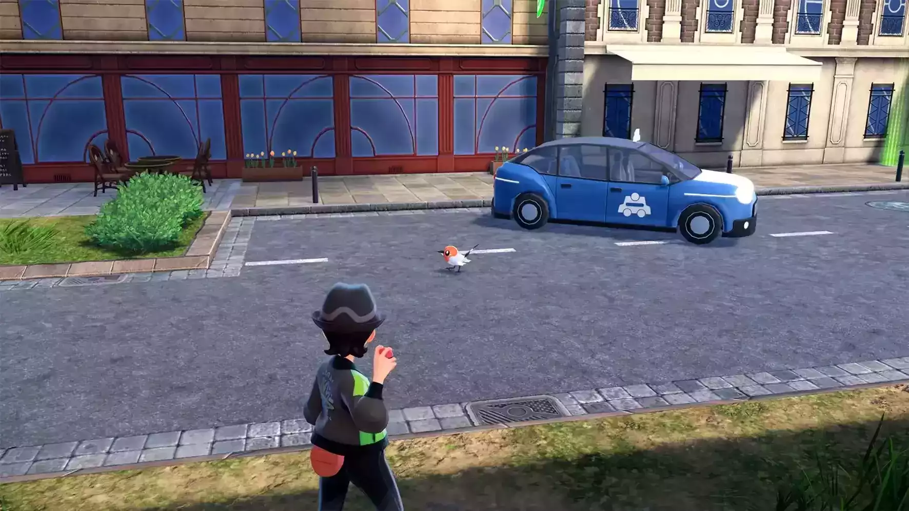 野生のポケモンは「ワイルドゾーン」に出現