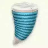 りゅうのイトダマ画像