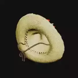 アロハネコ麦わら帽α画像