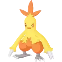 ワカシャモの画像