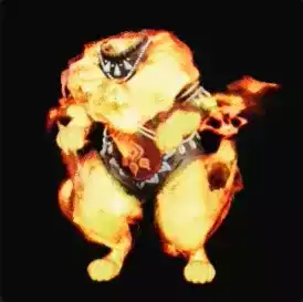 アーフィネコボティα画像