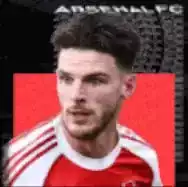 HPデクランライス(サマーツアー/2025)画像