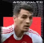 HPヤクブキヴィオル(サマーツアー/2025)画像