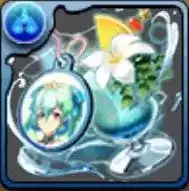 水着アルレシャ装備